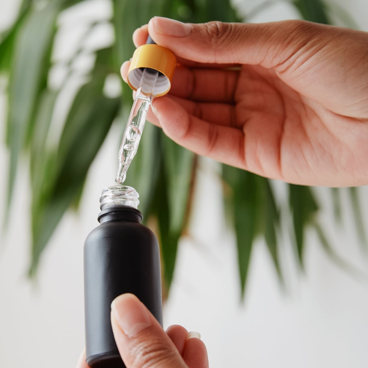 Sérum Éclat Vitamine C 15 %